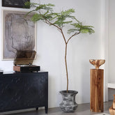 Jacaranda Mimosifolia Artificial Green Plant High-End Affordable Luxury Indoor Living Room Floor Stand Decoration Clothing Store Furniture Store High Quality Decoration